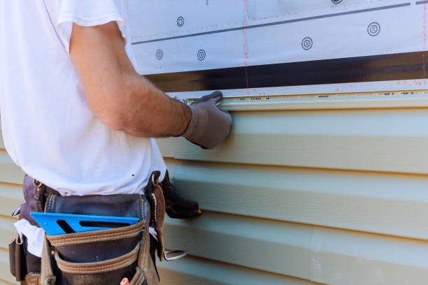 Affordable Vinyl Siding solutions in Bannock, OH